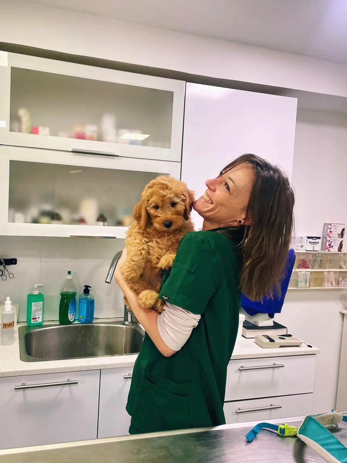 Vet4Pet
