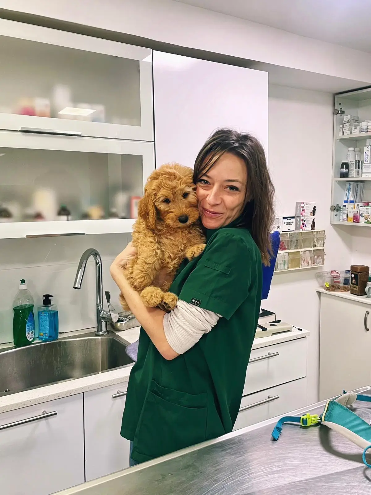 Vet4Pet