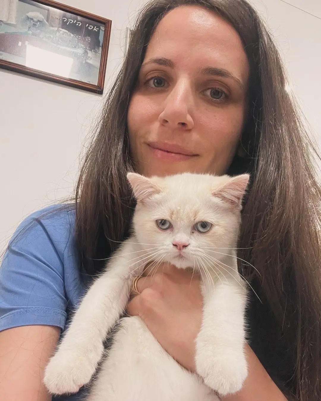 Vet4Pet