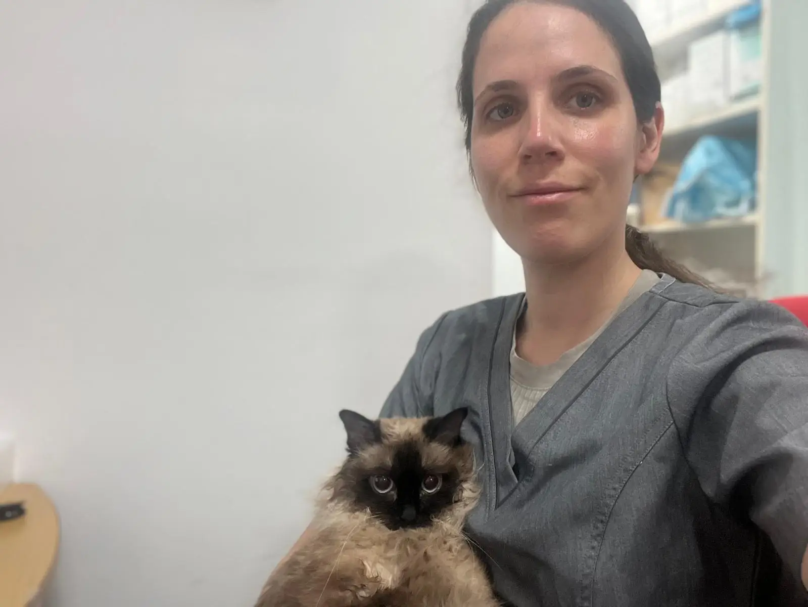 Vet4Pet